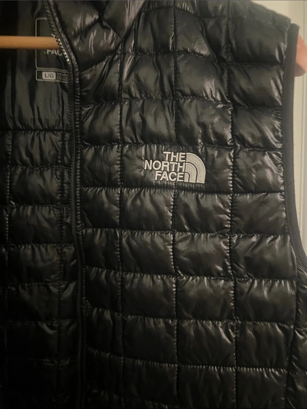 The North Face Black Men's Quilted Down Vest